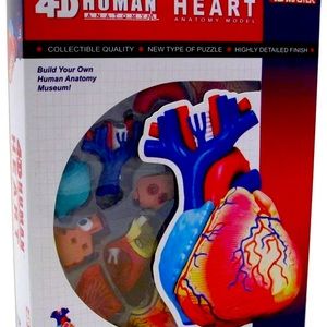 4-d human heart puzzle